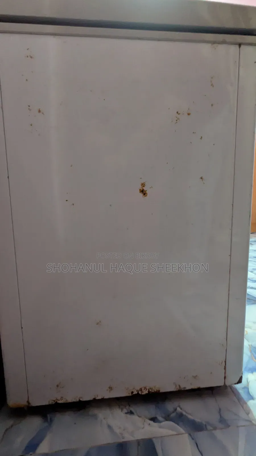 Singer Cool Storage/Deep Freezer