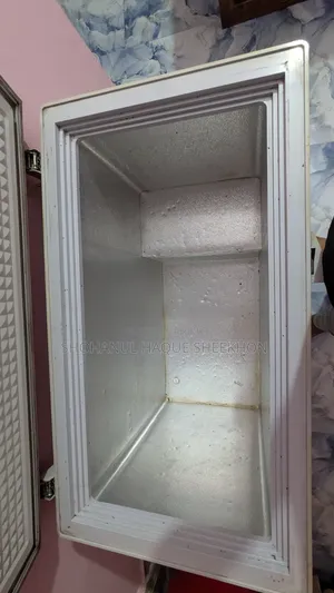 Singer Cool Storage/Deep Freezer