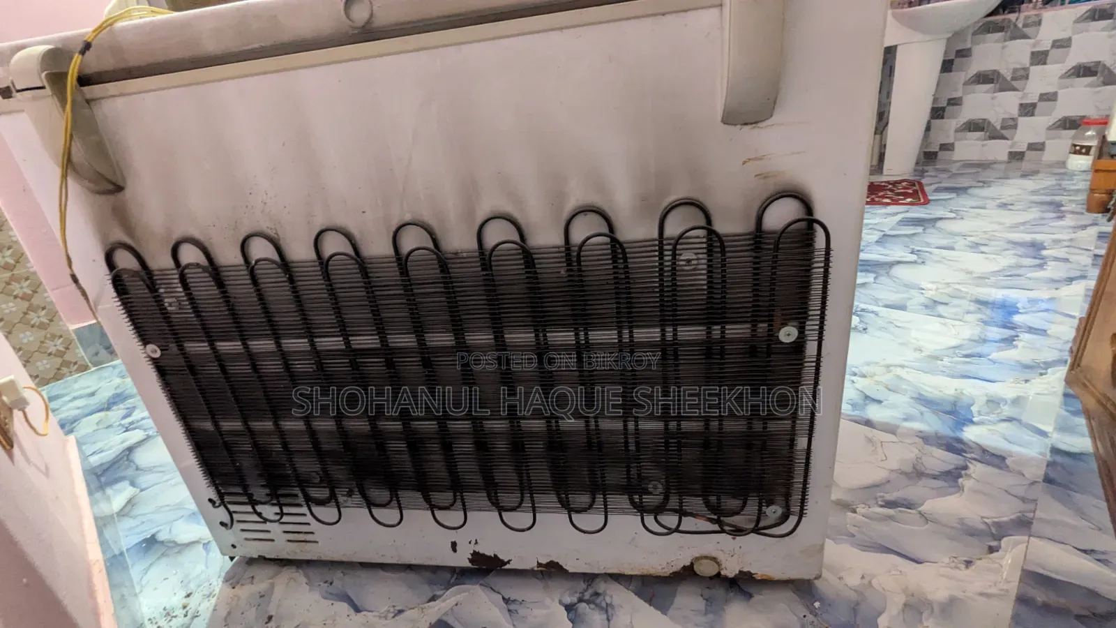 Singer Cool Storage/Deep Freezer