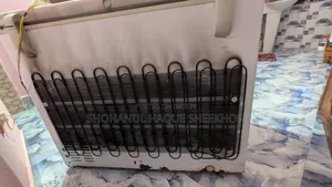 Singer Cool Storage/Deep Freezer