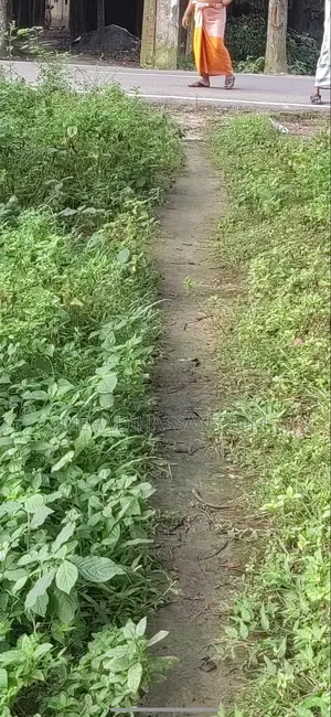 ৩ শতাংশ ৫০ পয়েন্ট জমি সেমি পাকা বাড়ি ৩ রুম ৩টা বাথরুম।
