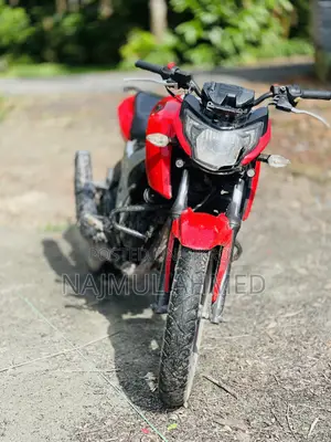 টিভিএস আপাচে ১৬০ ৪ভি ২০১৯ লাল