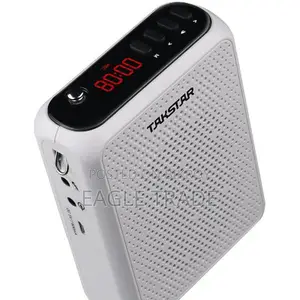 Takstar E300W Wireless Amplifier