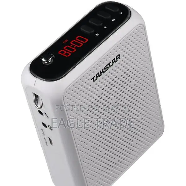 Takstar E300W Wireless Amplifier