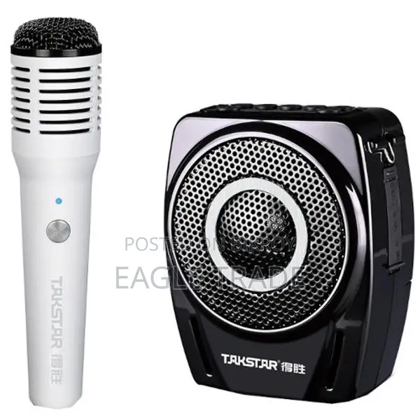 Takstar E8W Wireless Amplifier