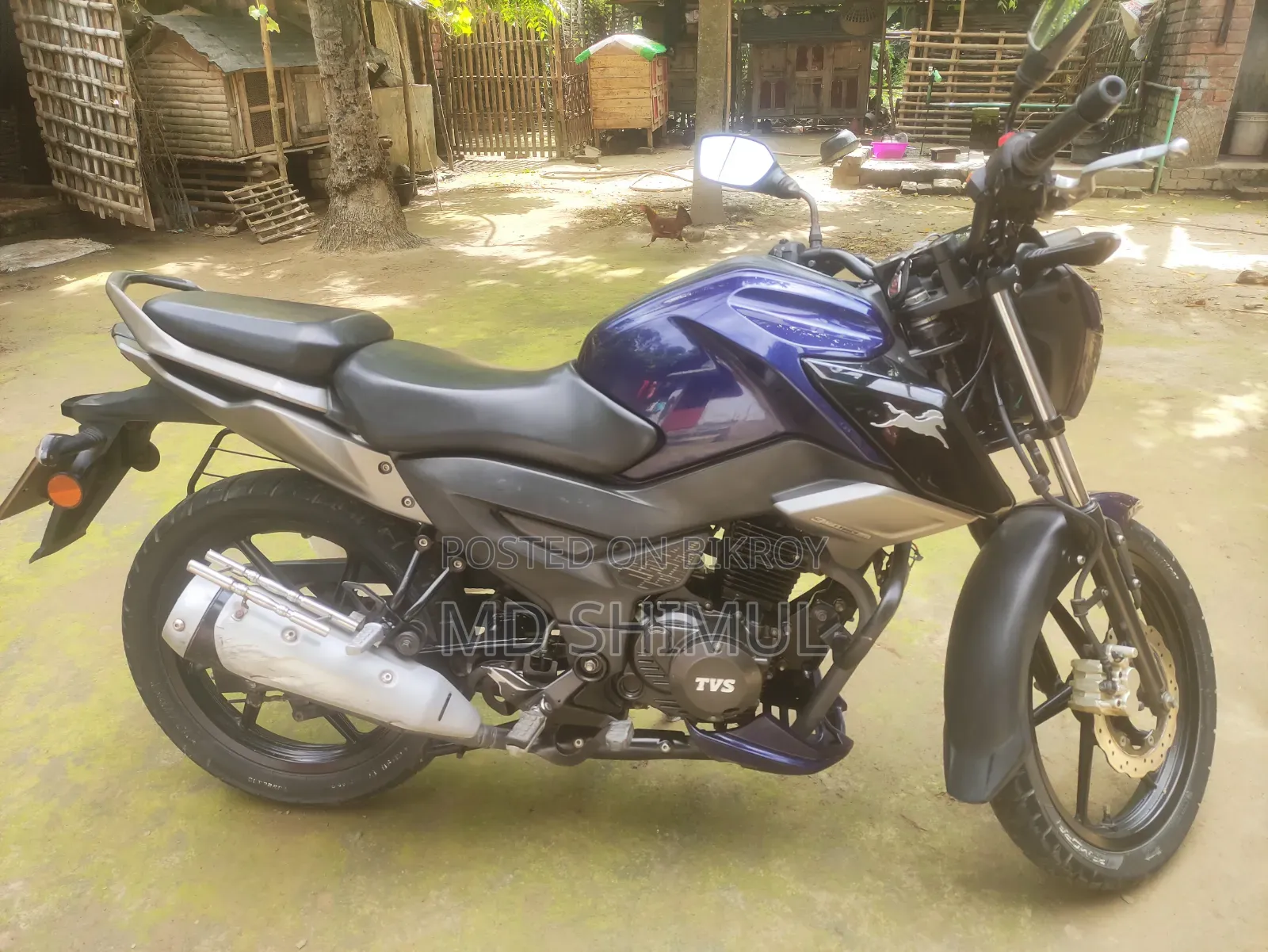 TVS Raider 125 2023 Blue