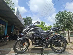 Bajaj Pulsar NS125 2024 Gray