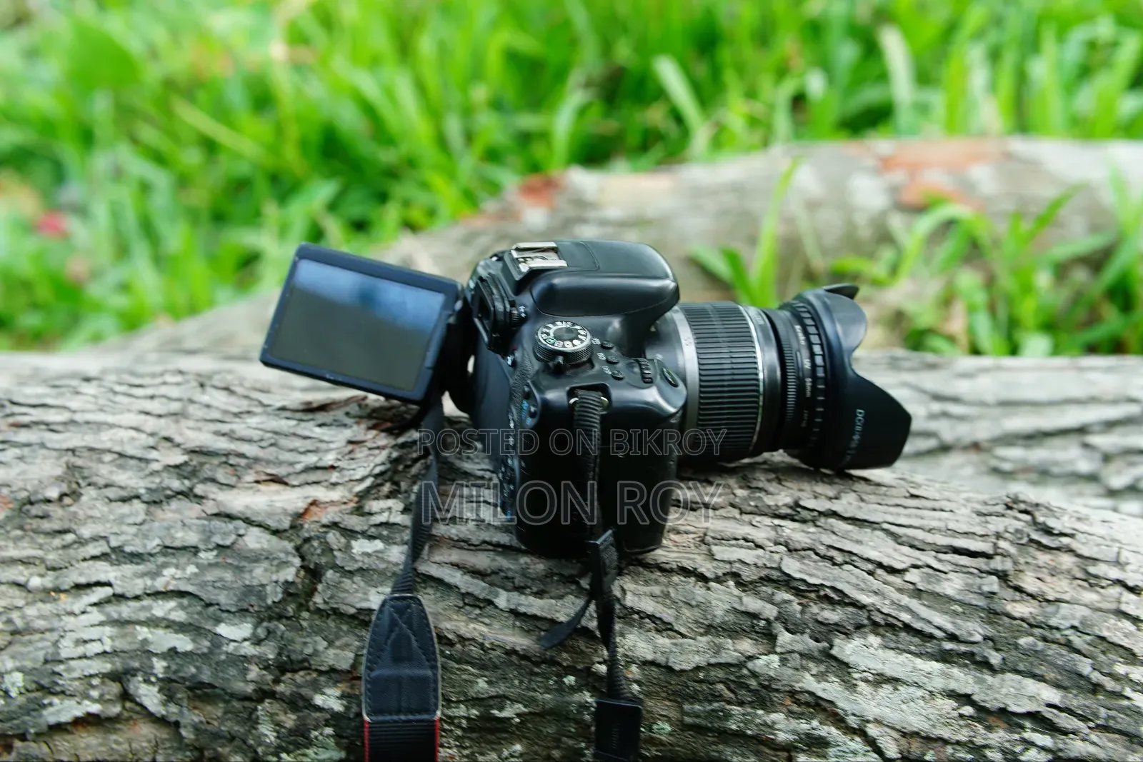 Canon 750d  50mm 1.8