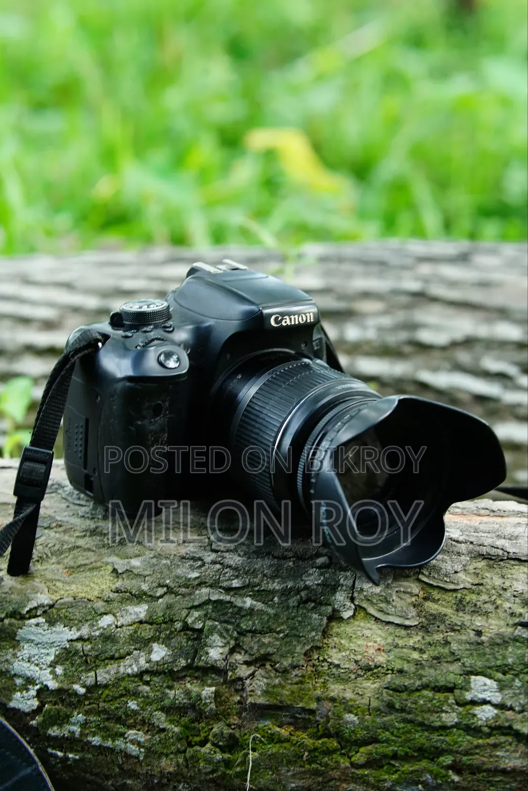 Canon 750d  50mm 1.8