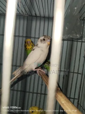 Some birds will be sold