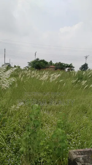 4 Katha NF Basundhara,P-Block