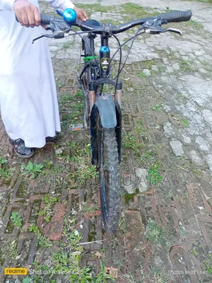 Ride Cycle
