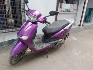 Green Tiger JR (Lite)-Falcon 2024 Purple