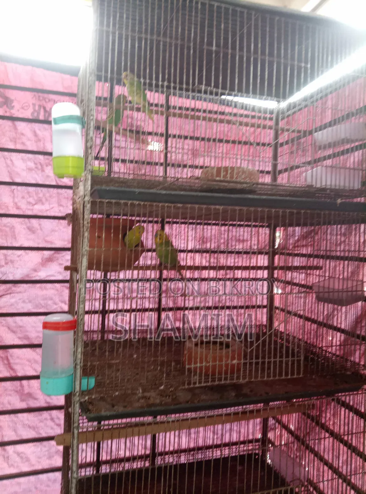 পাখির খাঁচা