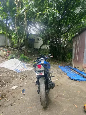 TVS Apache RTR 160 2V 2017 Blue
