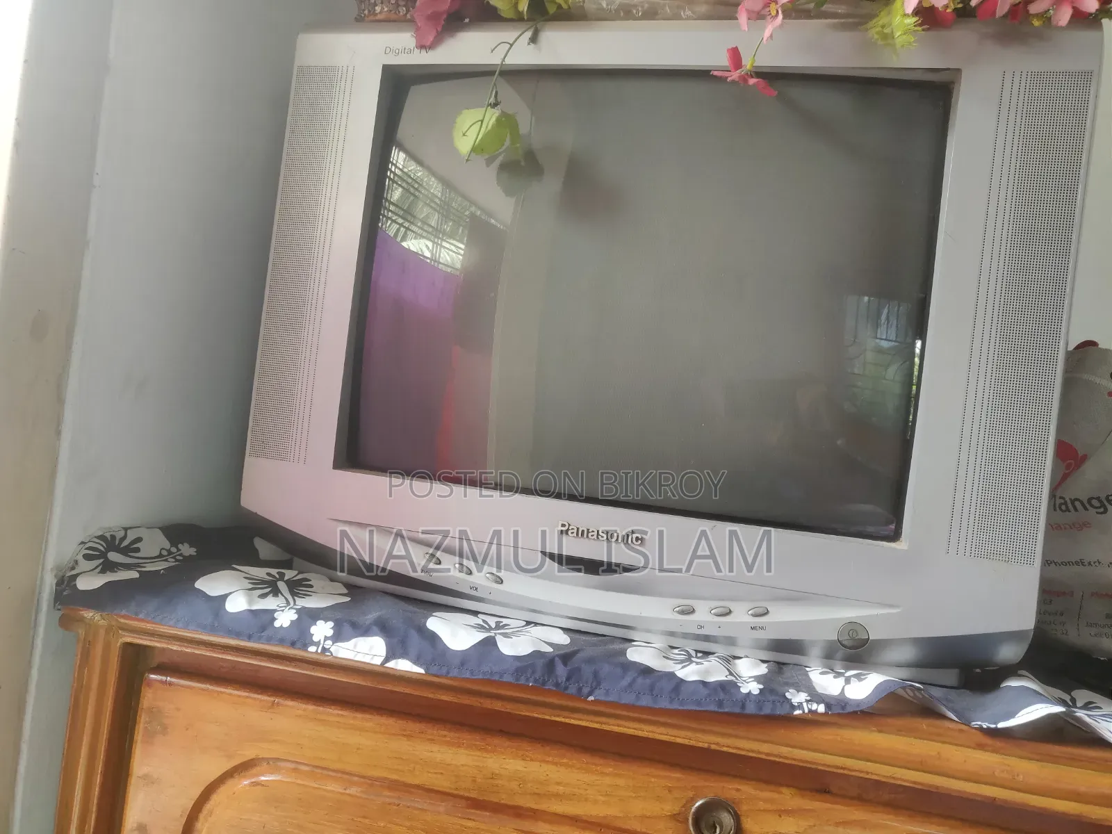 Television