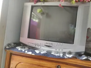 Television