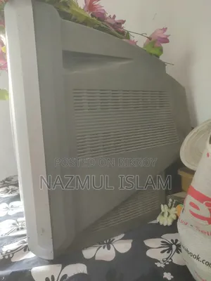 Television