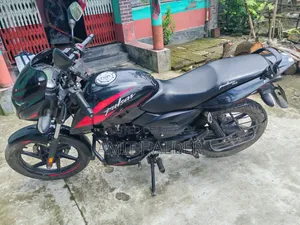 Bajaj Pulsar 150 2019 Black