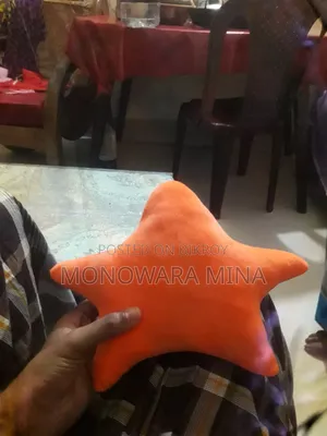 Claw Machine Theke Tola Putul