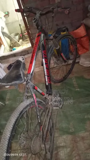 বাই সাইকেল