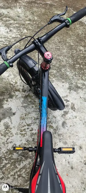 ফিনিক্স কিডস সাইকেল ২০ ইঞ্চি