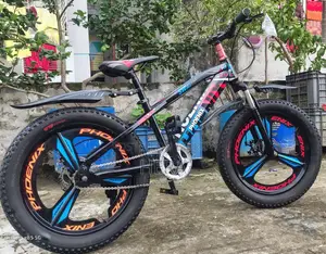 ফিনিক্স কিডস সাইকেল ২০ ইঞ্চি