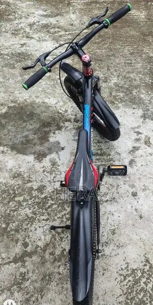 ফিনিক্স কিডস সাইকেল ২০ ইঞ্চি