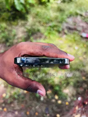 Apple iPhone 13 Pro Max 256 GB Black