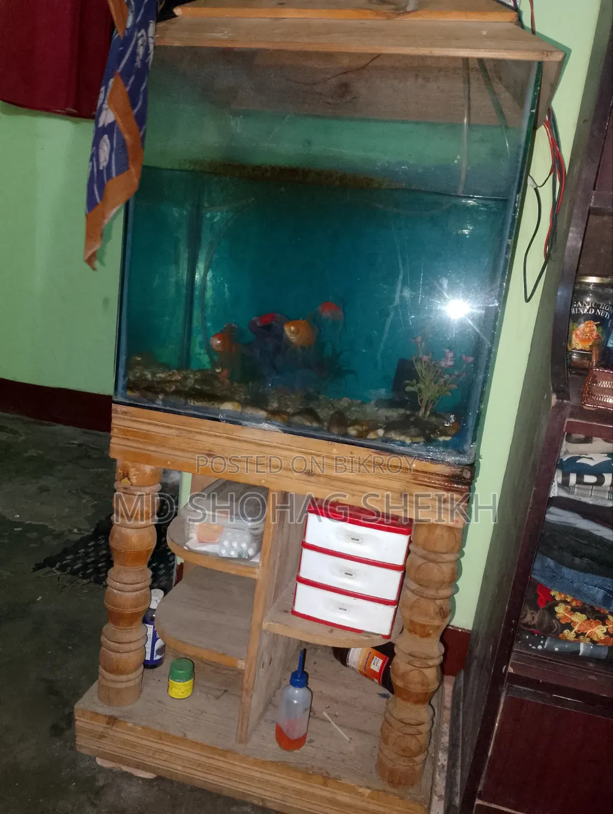 মাছের অকুরিয়াম