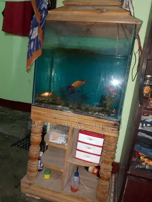 মাছের অকুরিয়াম