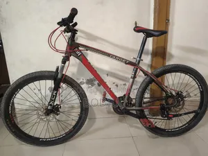 Phoenix Target Cycle With Lock, Bell and Light
