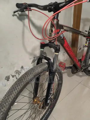 Phoenix Target Cycle With Lock, Bell and Light