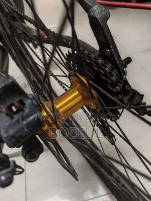 Phoenix Target Cycle With Lock, Bell and Light