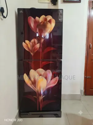 Walton 301 Ltr.Double Glass Door Refrigerator