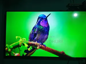 Selling: Singer Primax Series 43" 4K Smart TV (Like New)