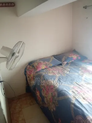 Mini Flat in Instant Today Studio, Mirpur for rent