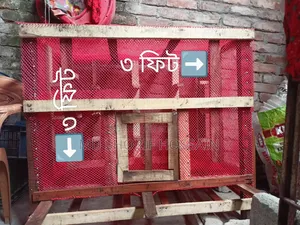 কবুতর+ পাখির খাচা