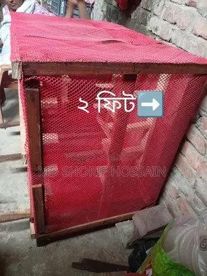 কবুতর+ পাখির খাচা