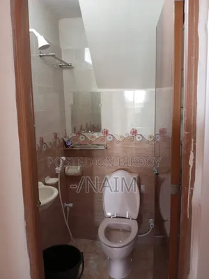 Mini Flat in Instant Today Studio, Mirpur for rent