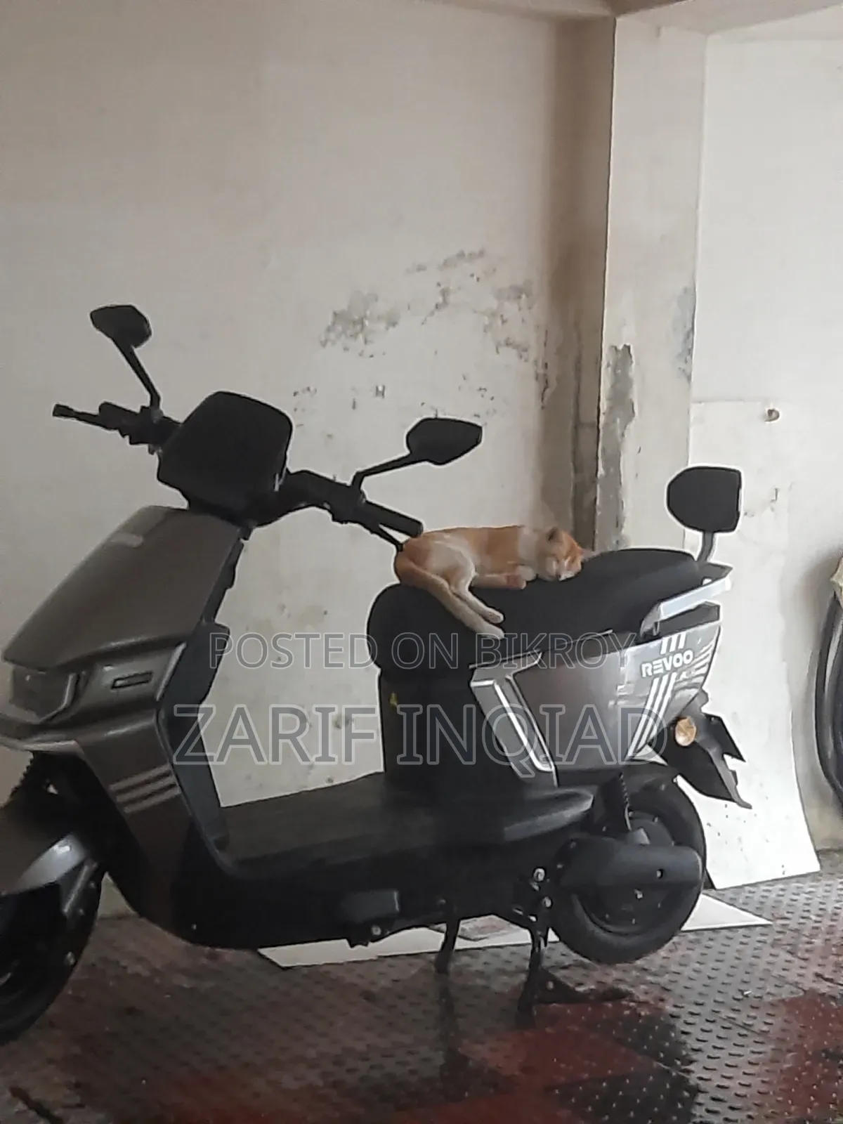 Revoo A12-S 2026 Gray