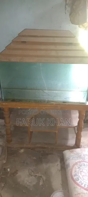 একুরিয়াম মাছ