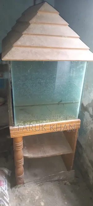 একুরিয়াম মাছ