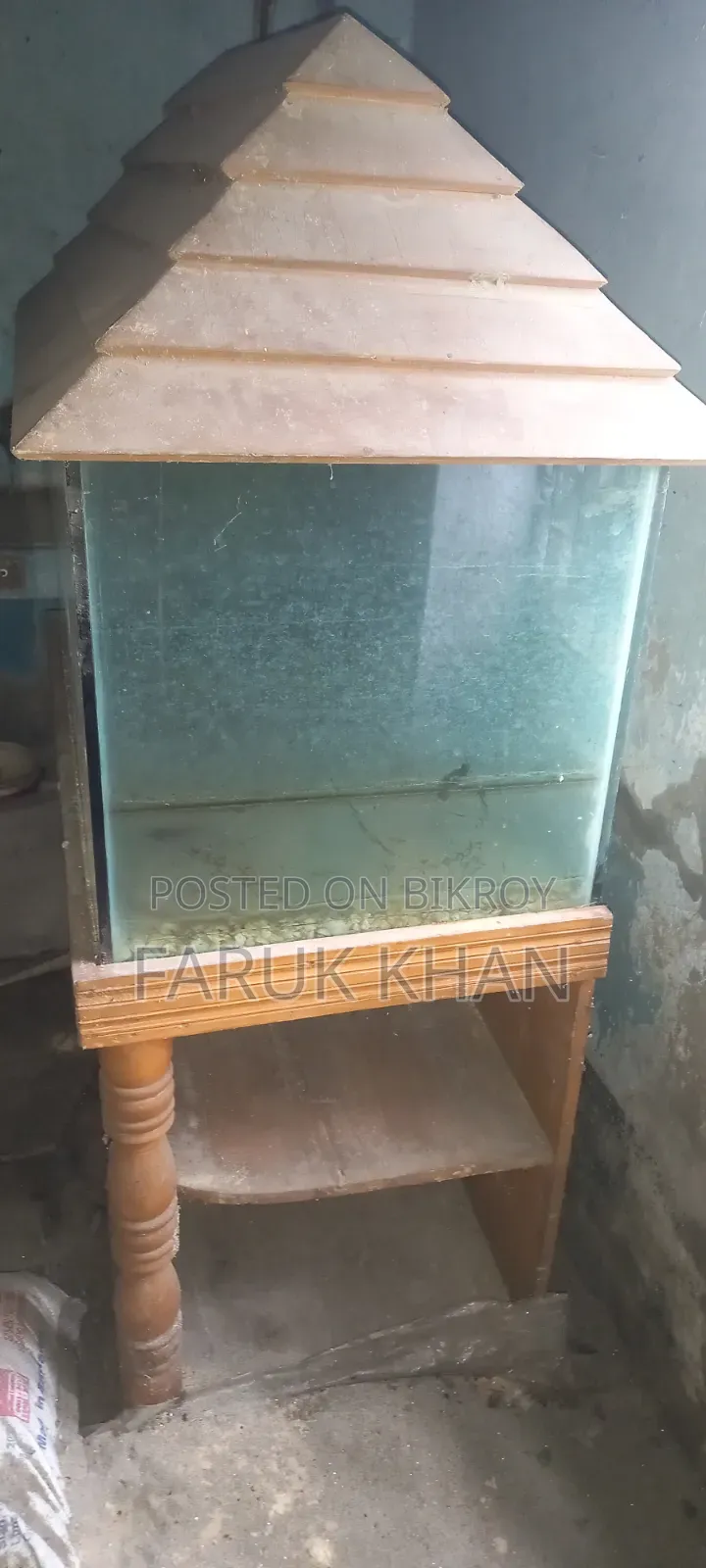 একুরিয়াম মাছ