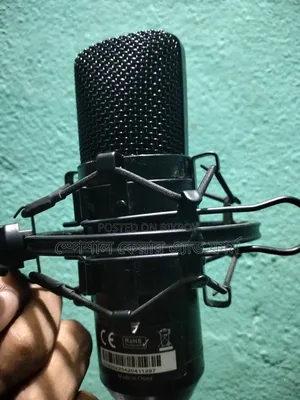 Microphone
