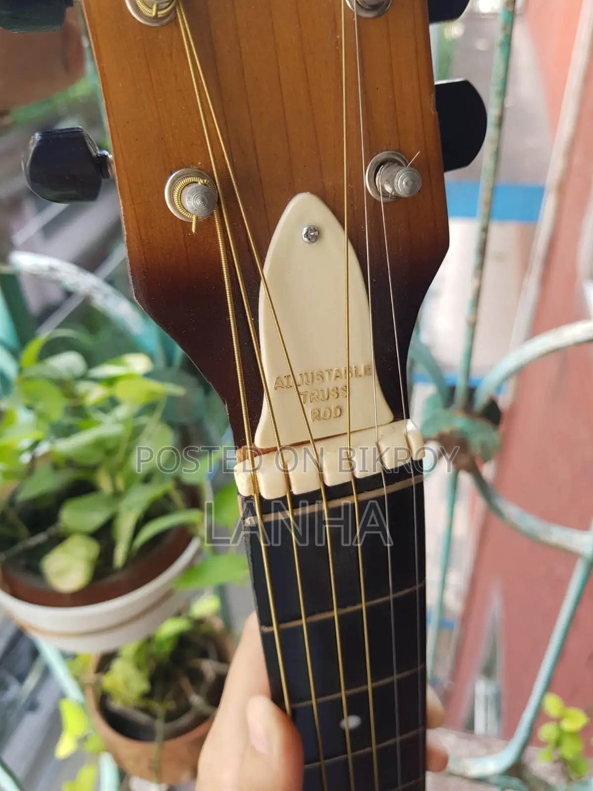Acoustic Guitar