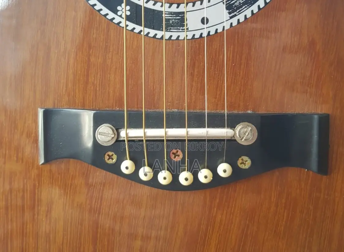 Acoustic Guitar