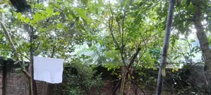 যারা ডুপ্লেক্স বাড়ির জন্য জমি খুঁজছেন তাদের জন্য পারফেক্ট পজিশন। লো