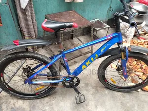 Non Gear Cycle