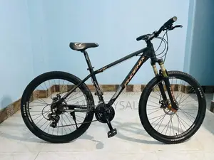Phoenix Cycle